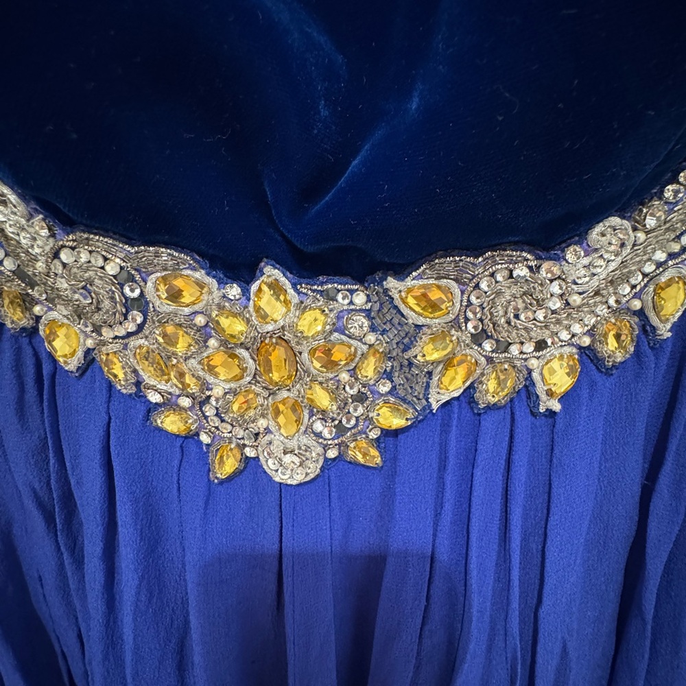 Embellished Indian Evening Gown with Velvet Bust - Picture 6 of 10